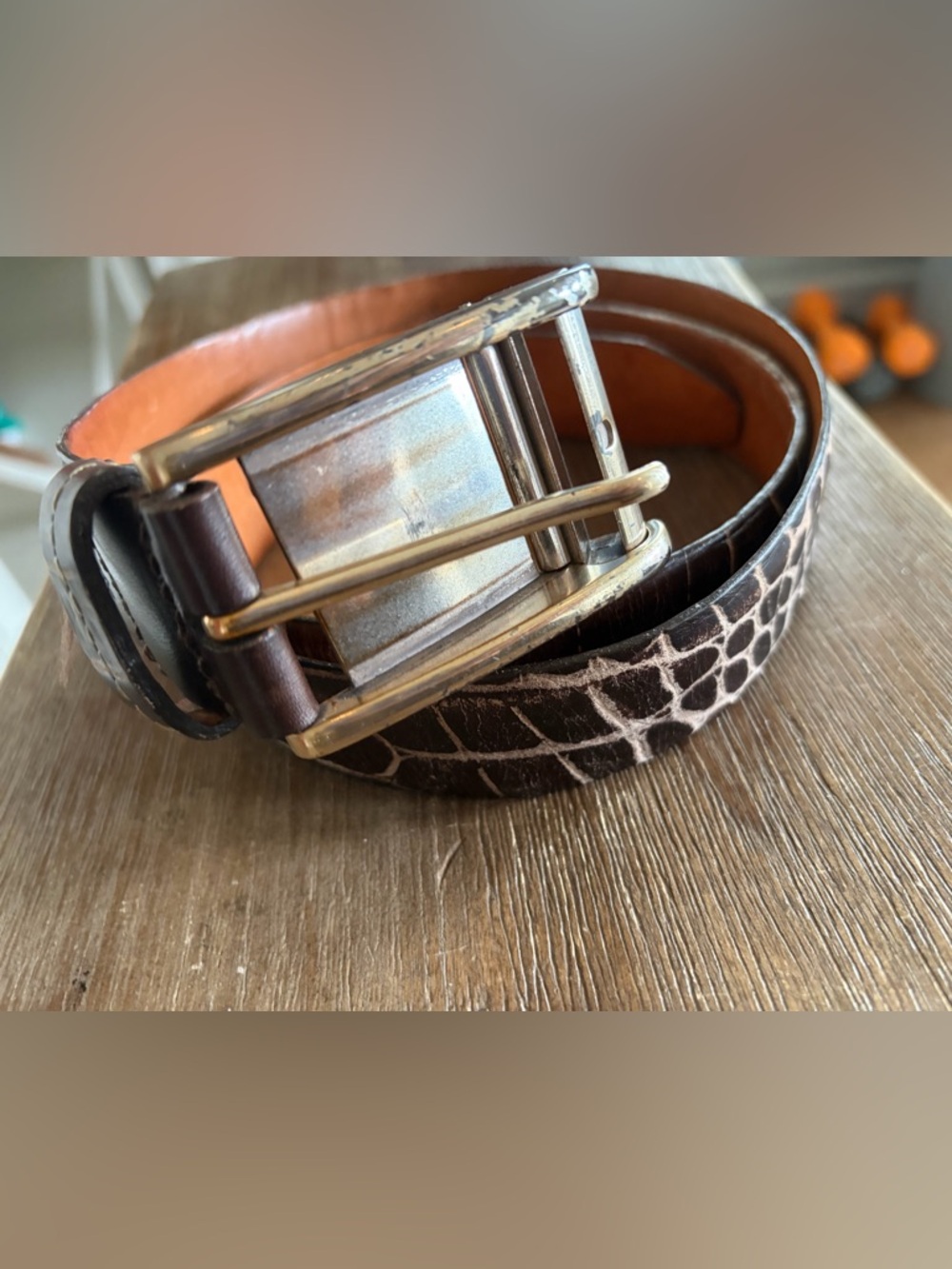 Martin Dingman Alligator CALF GRAIN  belt 40